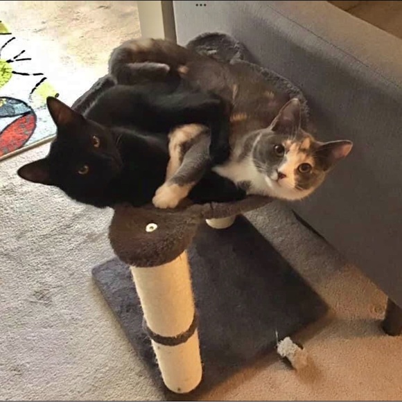 Meet your Posher, Nicolle - Picture 7 of 10